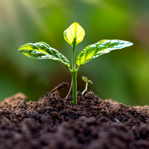 87% (2).jpg__PID:ca2ebacf-1cd5-41b8-b630-d7f4c7f2e988